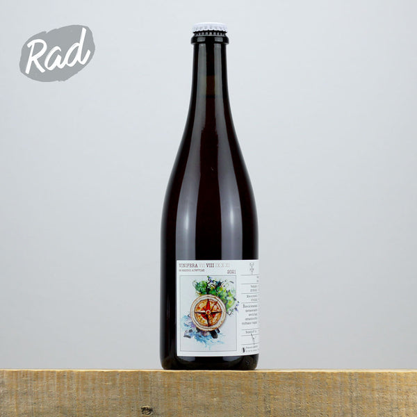 Ammonite Vinifera VIII - Gamay