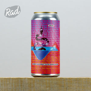 Elmeleven We Are Not Alone Elmeleven We Are Not Alone