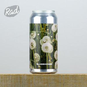 Glasshouse Dandelion - Radbeer