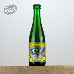 Holy Goat x Newbarns Limonata Sour