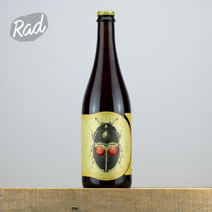 Jester King Detritivore (January 2025)