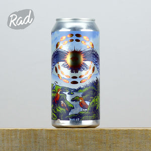 Northern Monk PATRONS PROJECT 47.04 // STEVEN YOYADA // HEATHEN SOUNDS // DIN OF CELESTIAL BIRDS // BELGIAN GOLDEN ALE