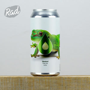 Polly's Gecko!