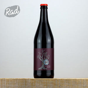 Saint Mars Of The Desert Bébé Sauvage