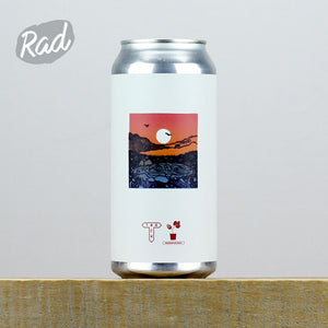 Track Harvest Ale #4 - Pilgrimage Track Harvest Ale #4 - Pilgrimage