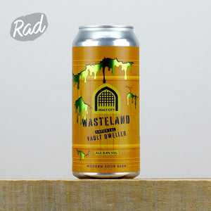 Vault City Wasteland Imperial Vault Dweller