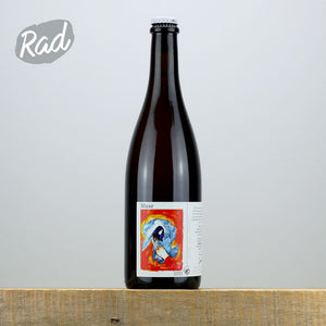 Ammonite Muse 2021 Ammonite Muse 2021